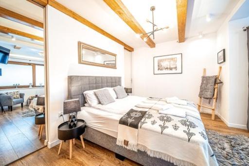 Apartament Kamieniec ซาโกปาเน ภายนอก รูปภาพ